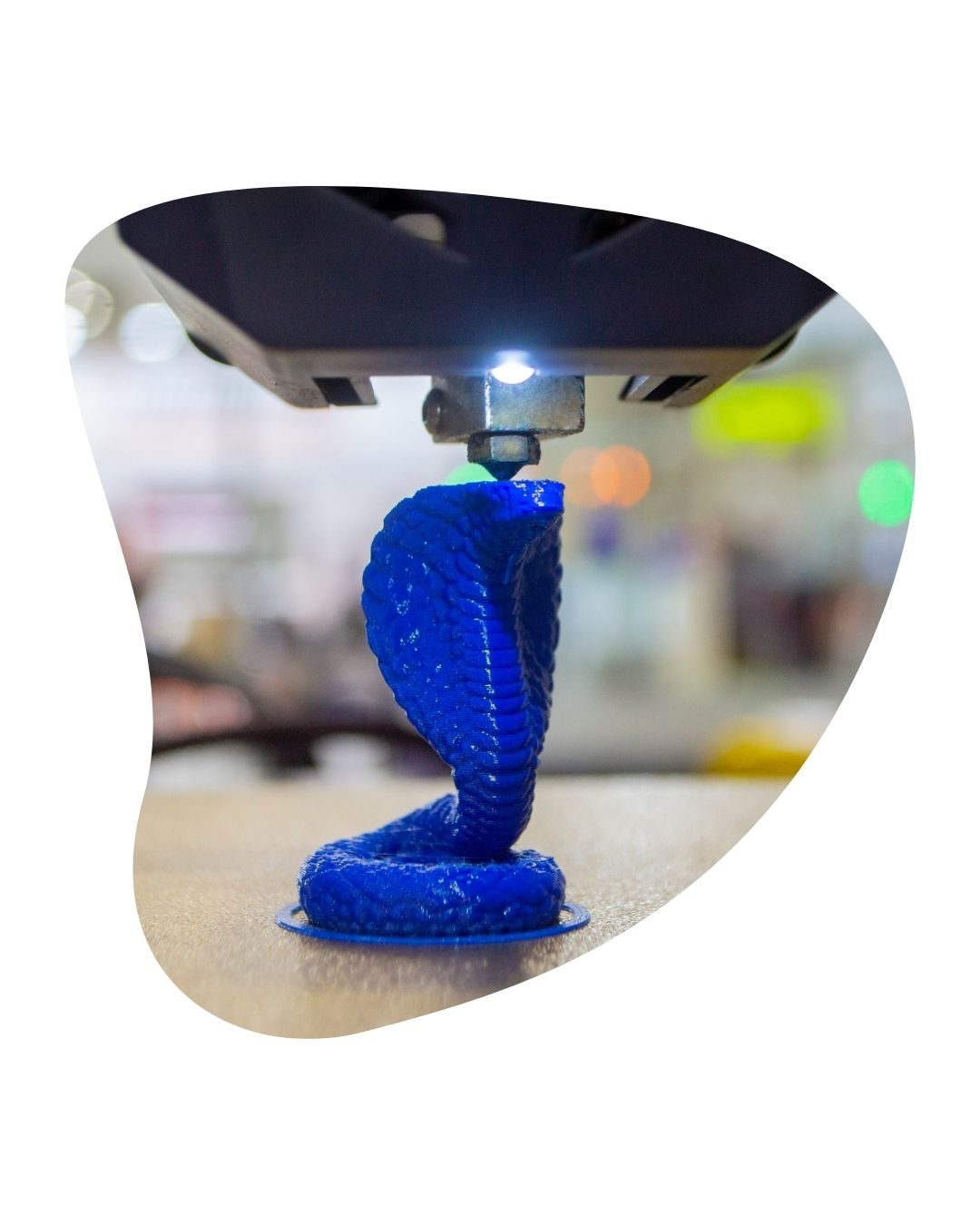 3D Printing_Vectosign